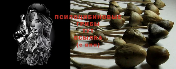 кокс Армянск