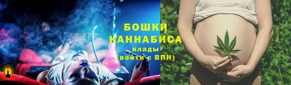 каннабис Аркадак