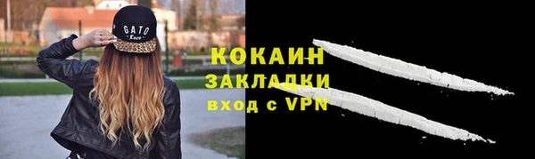 спайс Алзамай