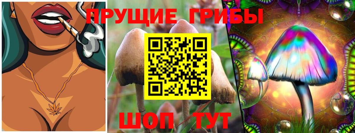 Балабаново  Галлюциногенные грибы MAGIC MUSHROOMS  Вход с VPN 
